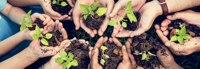 How to Live a Little “Greener”