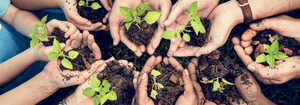 How to Live a Little “Greener”